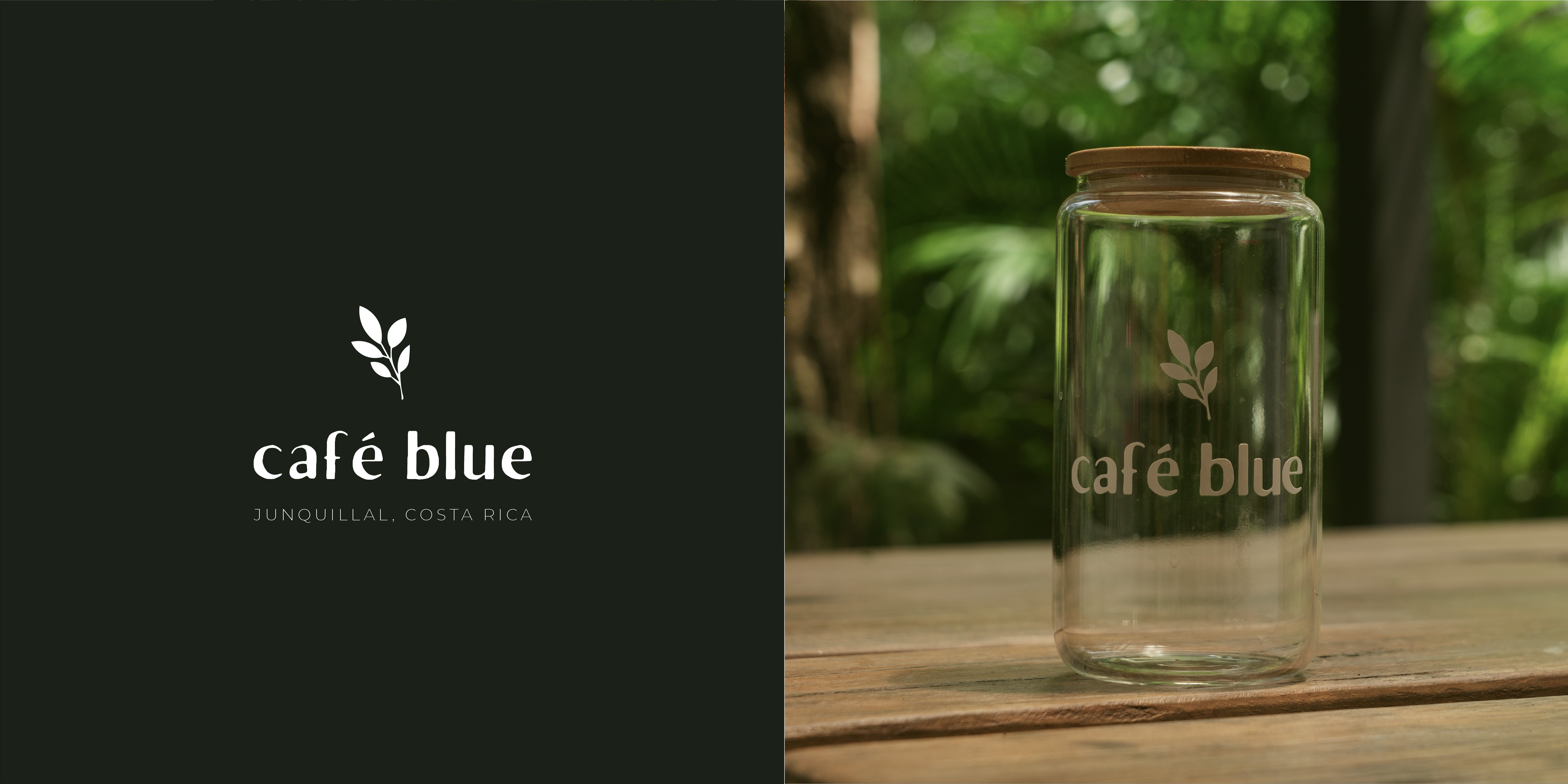 Cafe Blue Website Design